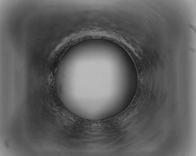 X0000092061495200709120955