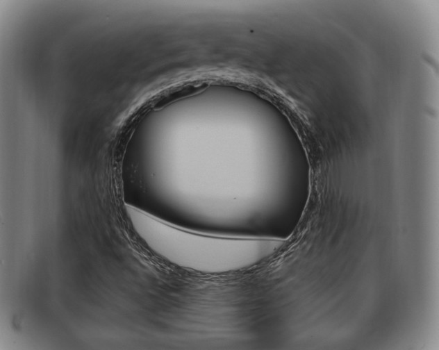 X0000092061496200709120955