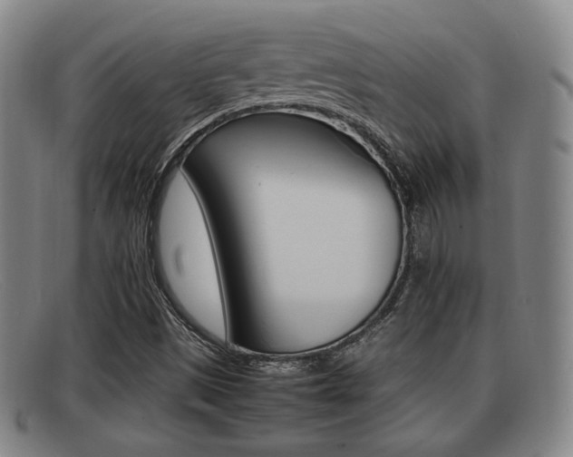 X0000092061497200709120955