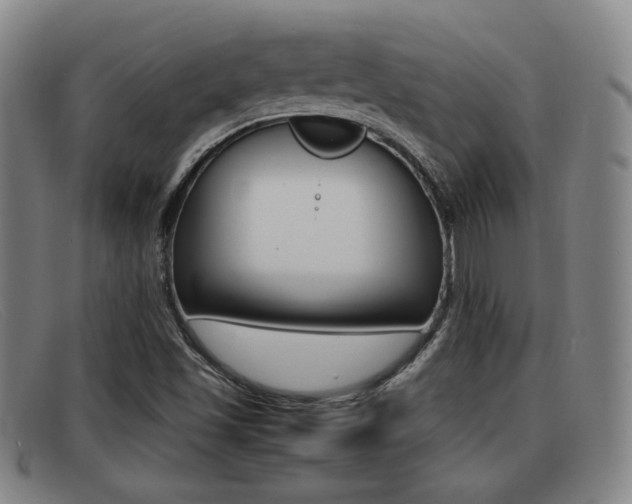 X0000092061501200709120955