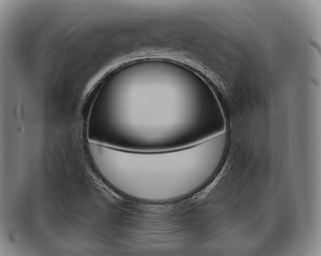 X0000092061502200709120955