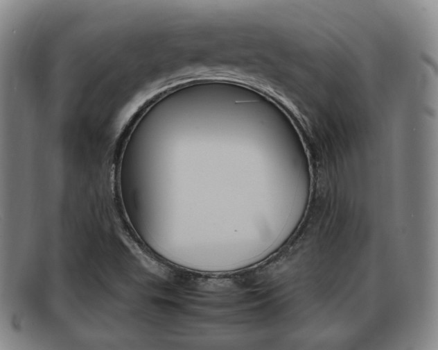 X0000092061503200709120955