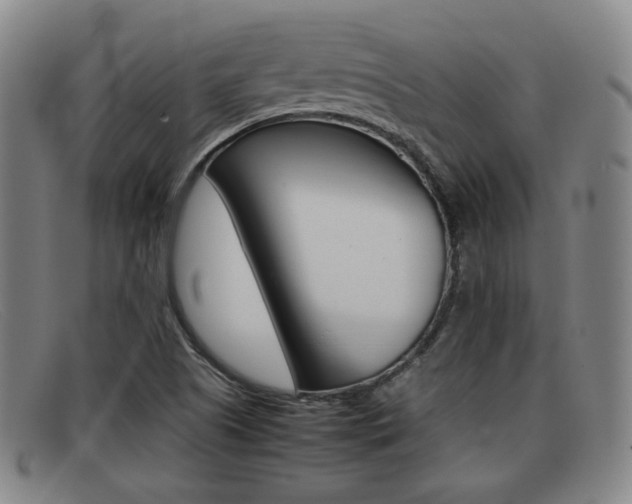 X0000092061505200709120955