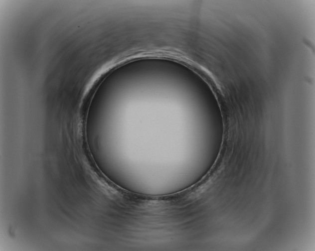 X0000092061506200709120955