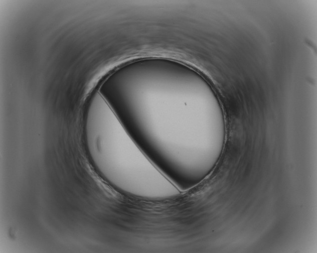 X0000092061507200709120955