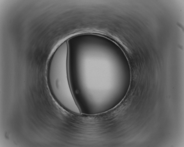 X0000092061508200709120955