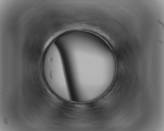 X0000092061509200709120955