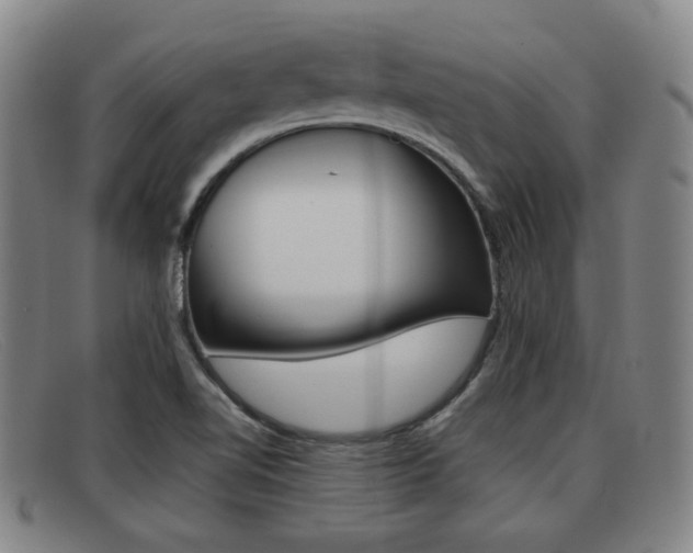 X0000092061510200709120955