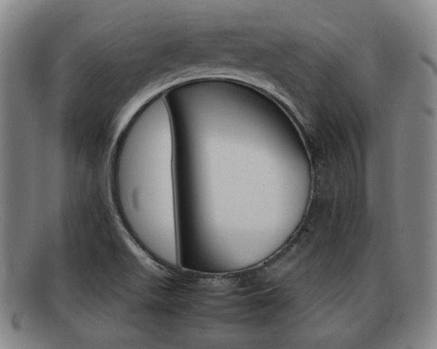 X0000092061511200709120955
