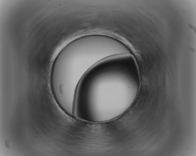 X0000092061512200709120955