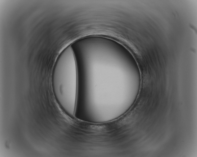 X0000092061513200709120955