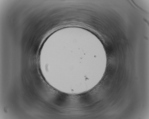 X0000092061514200709120955