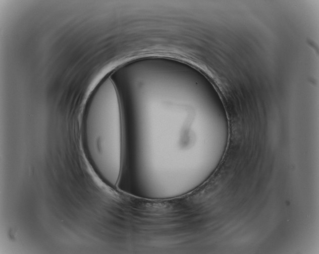 X0000092061515200709120955