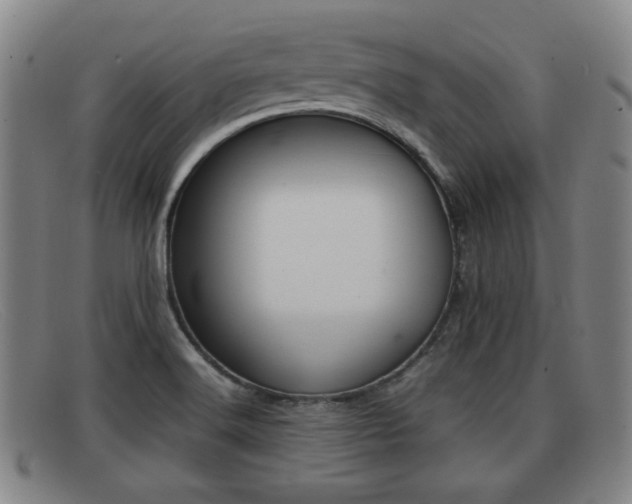 X0000092061516200709120955