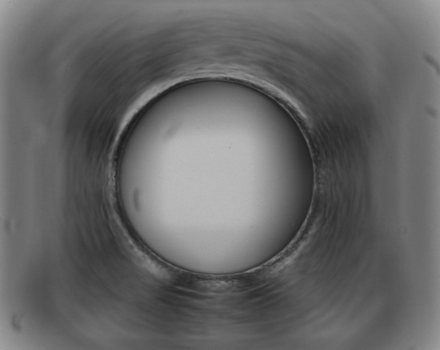 X0000092061517200709120955