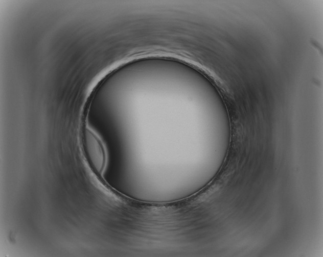 X0000092061518200709120955