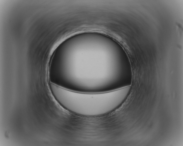 X0000092061520200709120955