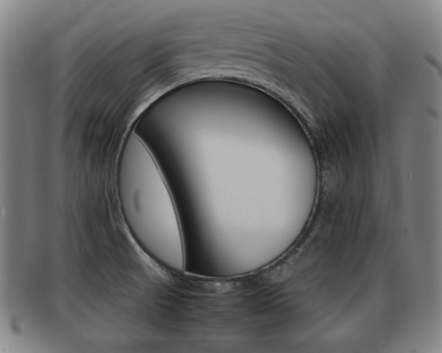 X0000092061521200709120955