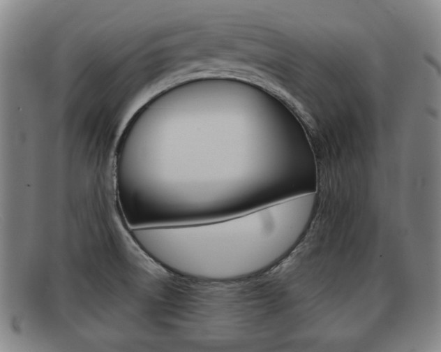 X0000092061522200709120955