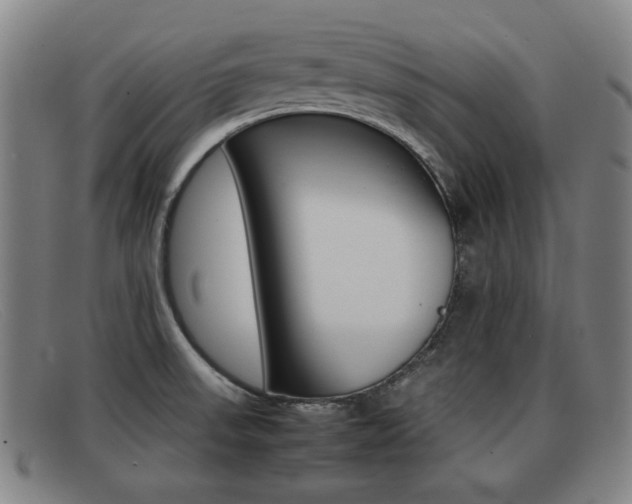 X0000092061523200709120955