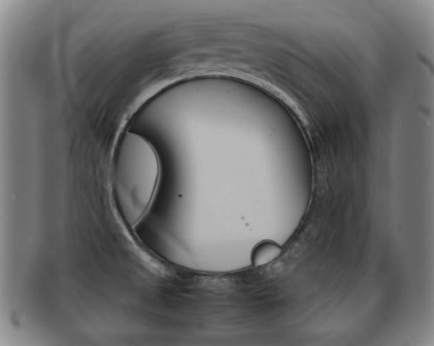 X0000092061525200709120955