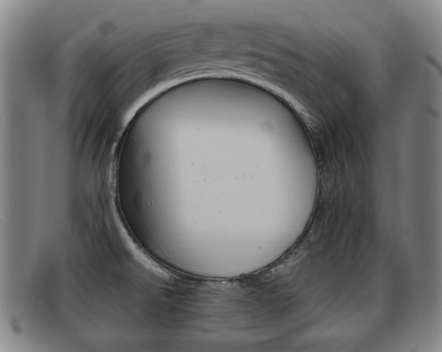 X0000092061526200709120955