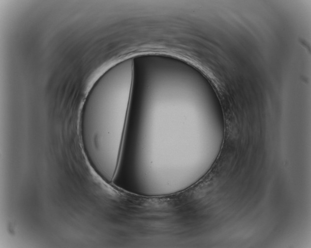 X0000092061527200709120955