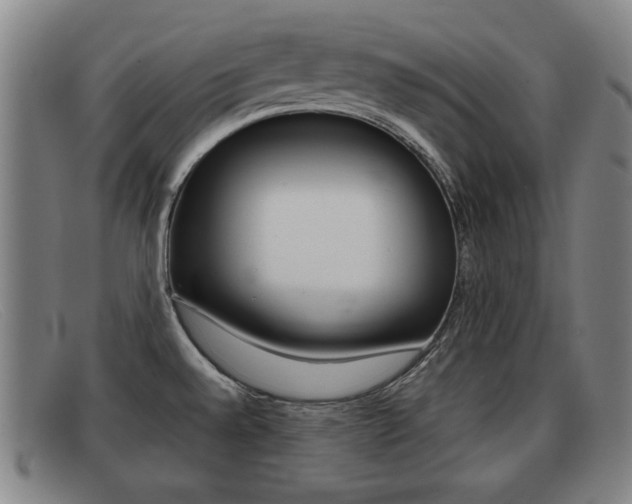 X0000092061528200709120955