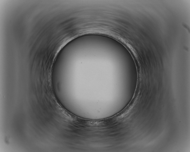 X0000092061529200709120955