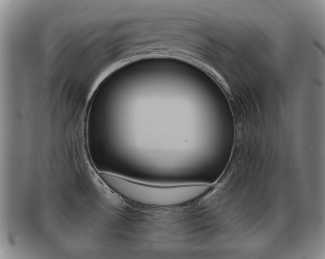 X0000092061530200709120955