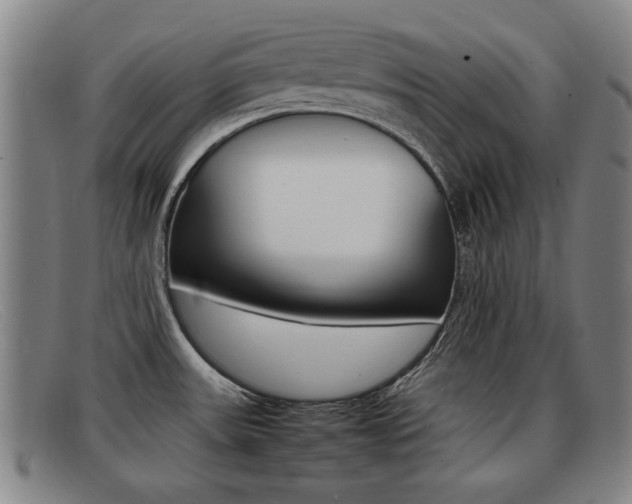 X0000092061531200709120955