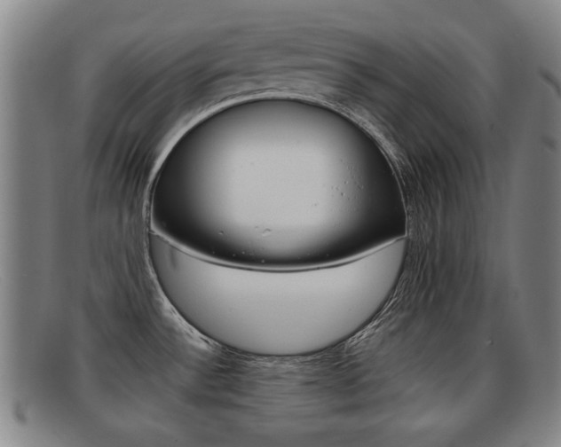 X0000092061532200709120955