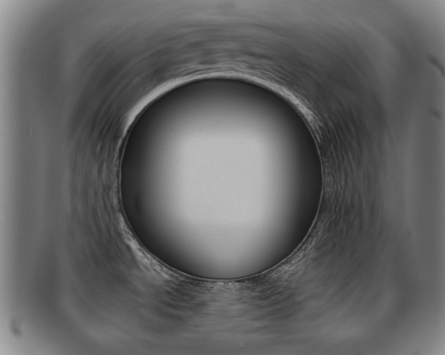 X0000092061534200709120955