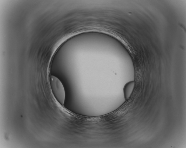 X0000092061535200709120955