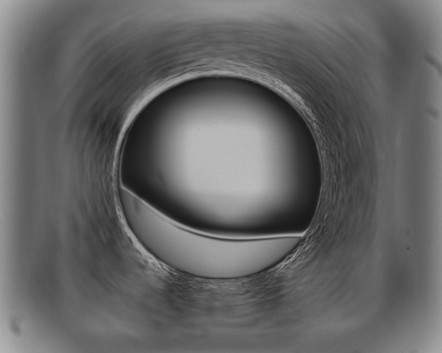 X0000092061536200709120955