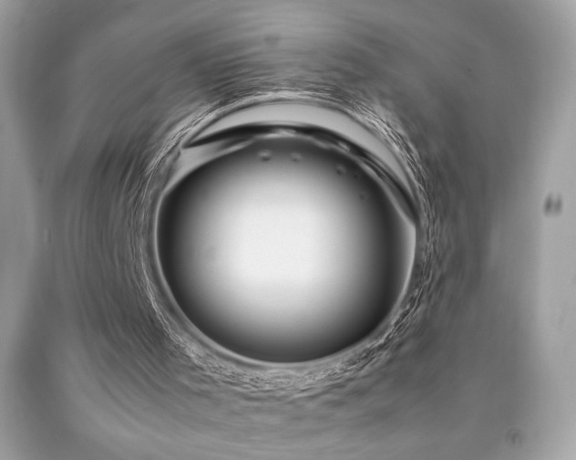 X0000092060001200709121403