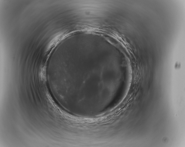 X0000092060002200709121403