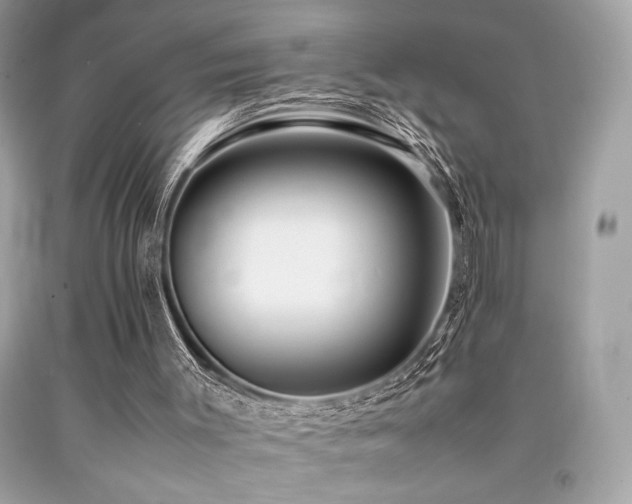 X0000092060003200709121403