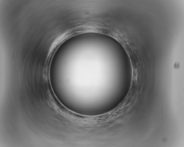 X0000092060004200709121403