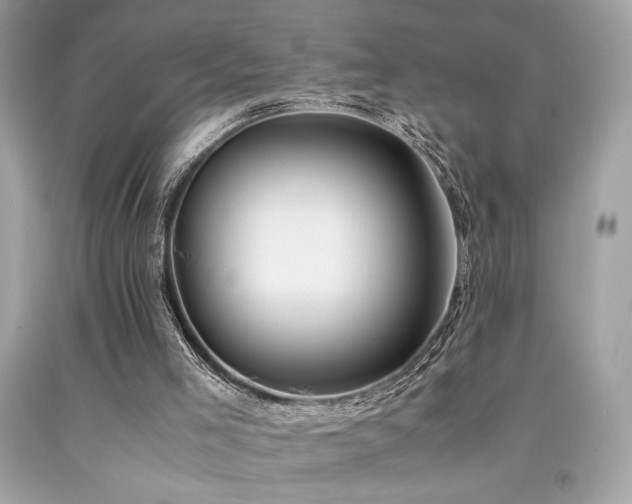 X0000092060005200709121403