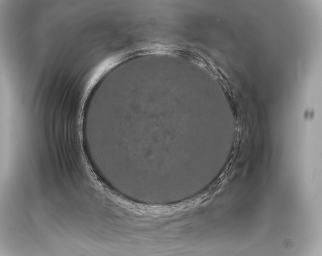 X0000092060006200709121403