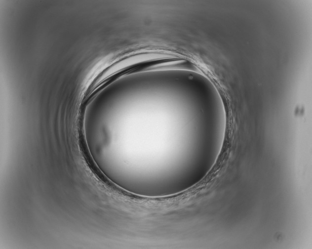 X0000092060007200709121403