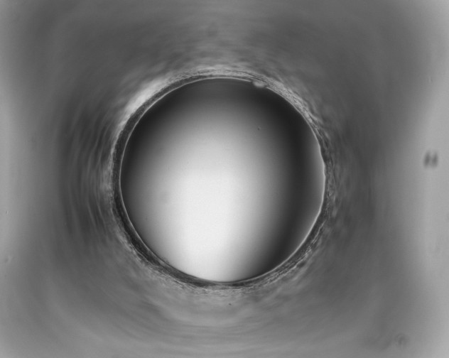 X0000092060008200709121403