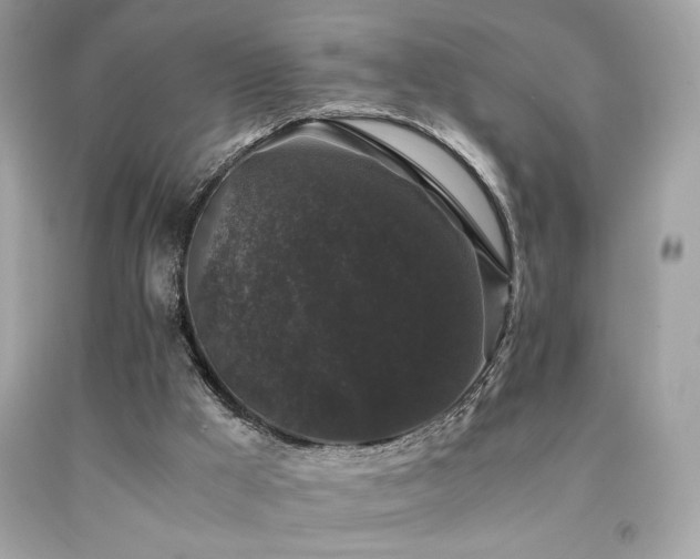 X0000092060009200709121403