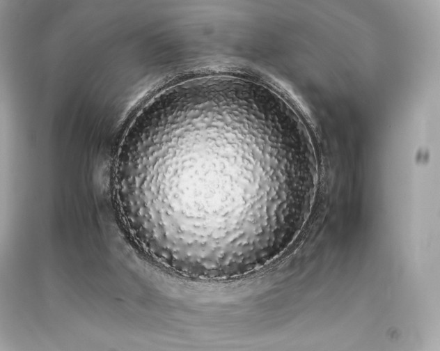 X0000092060010200709121403