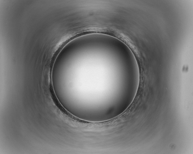 X0000092060011200709121403