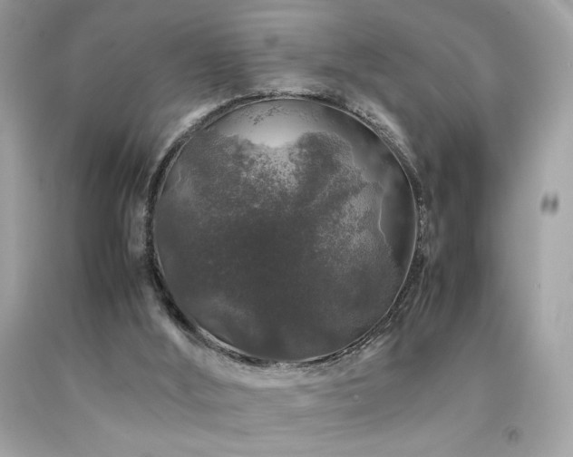 X0000092060012200709121403