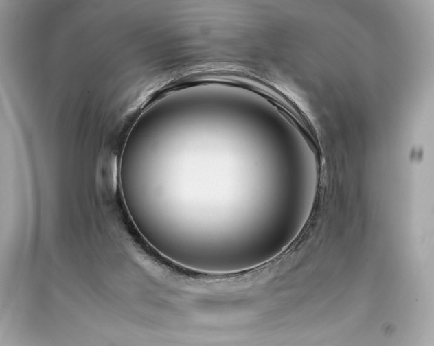 X0000092060013200709121403