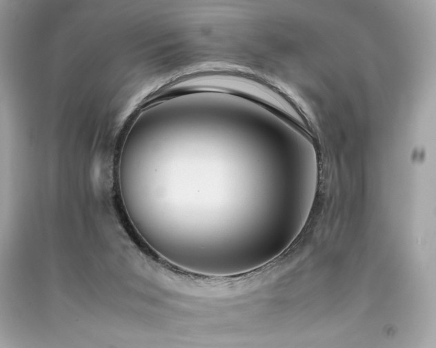 X0000092060015200709121403