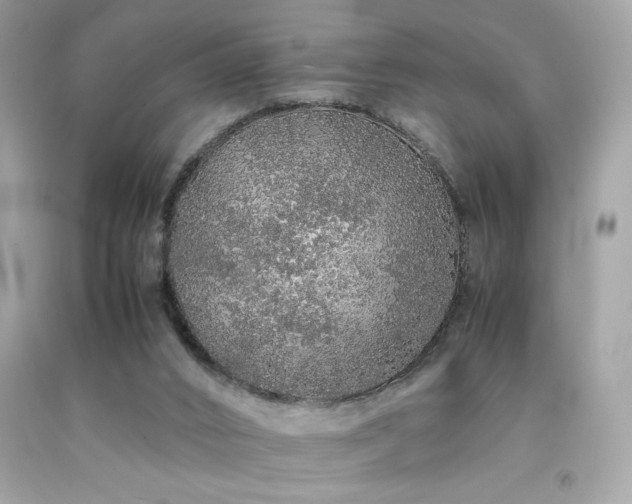 X0000092060016200709121403